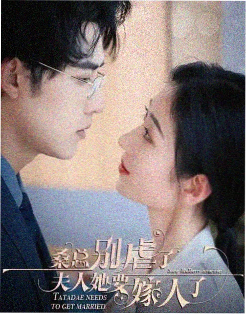 《雾港十二时》第二季片单录入资讯配图